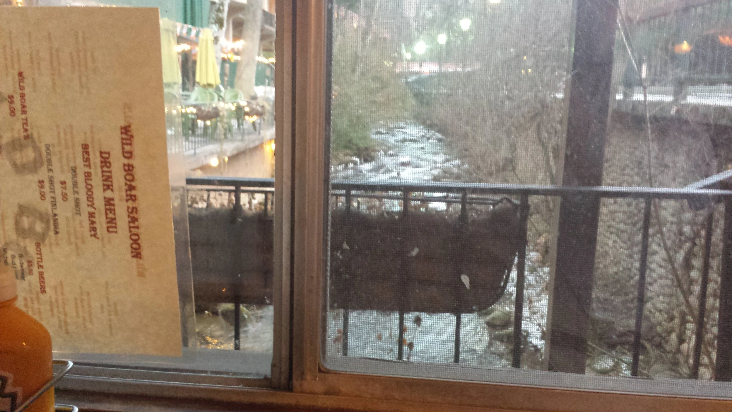20140122_174247.jpg
