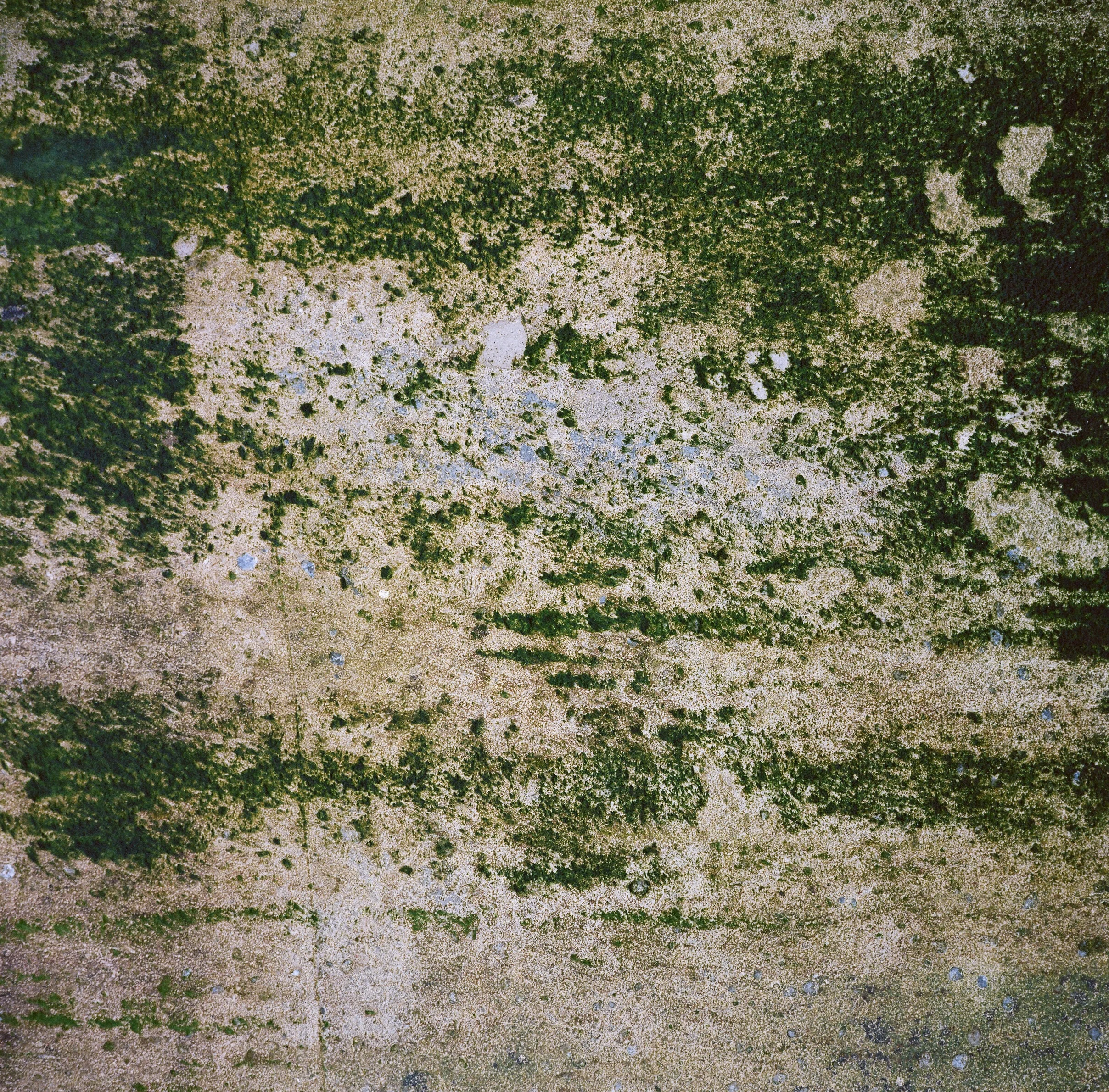 62450010.jpg