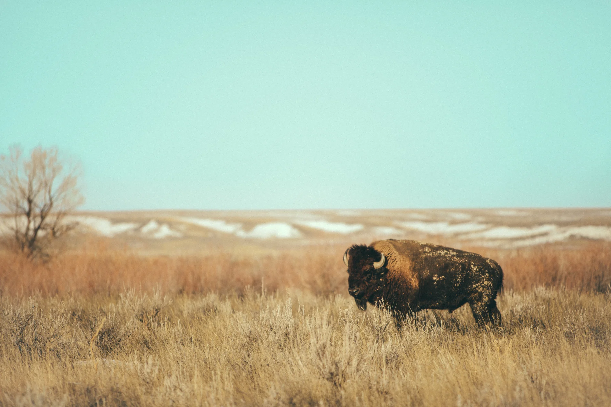 3309859346_ee609f09b6_o-2.jpg