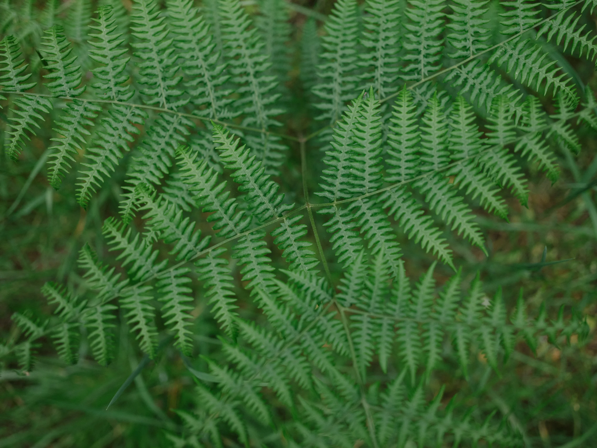 20190428-DSCF1842.jpg