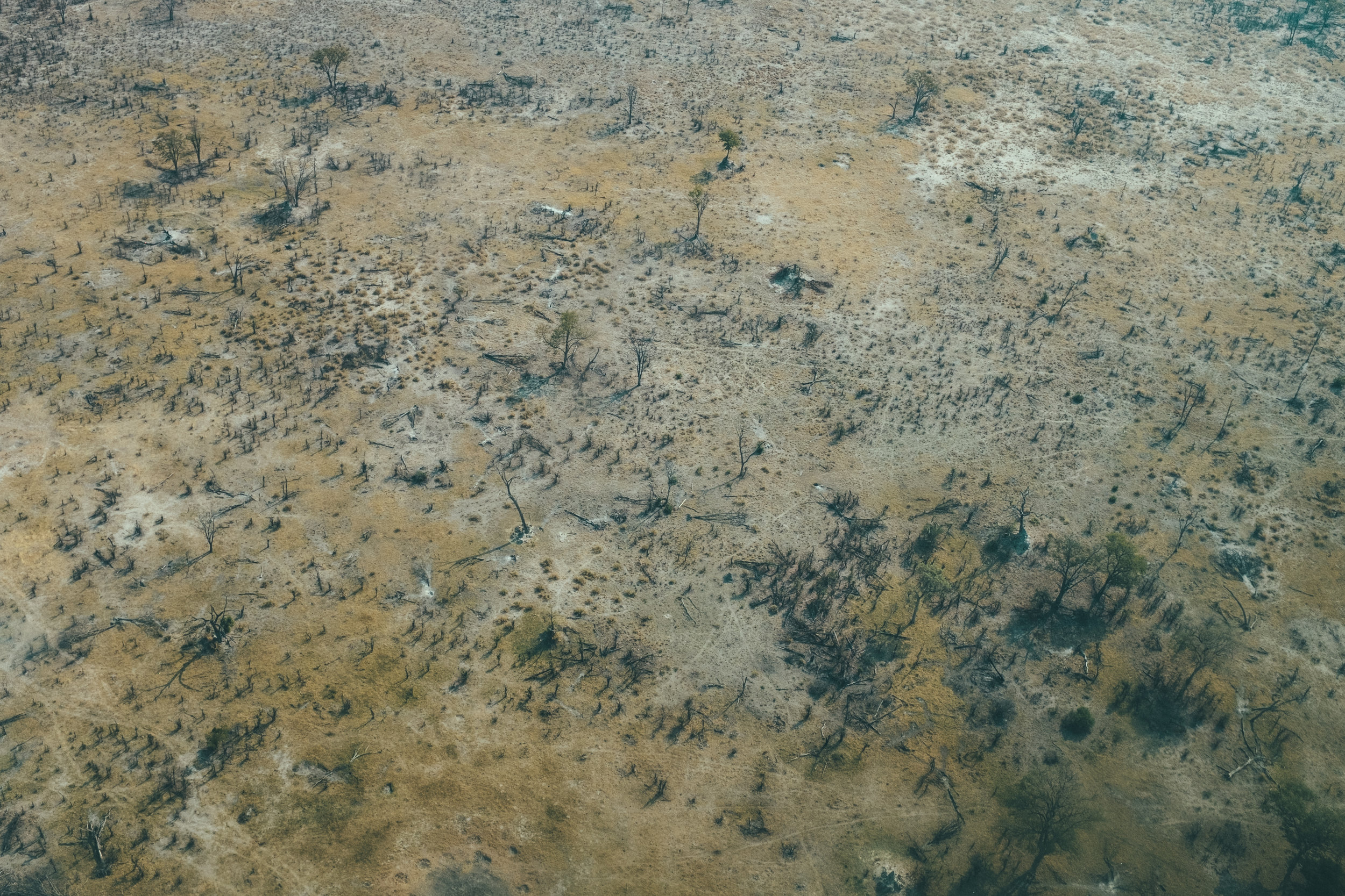 DSCF5104.jpg