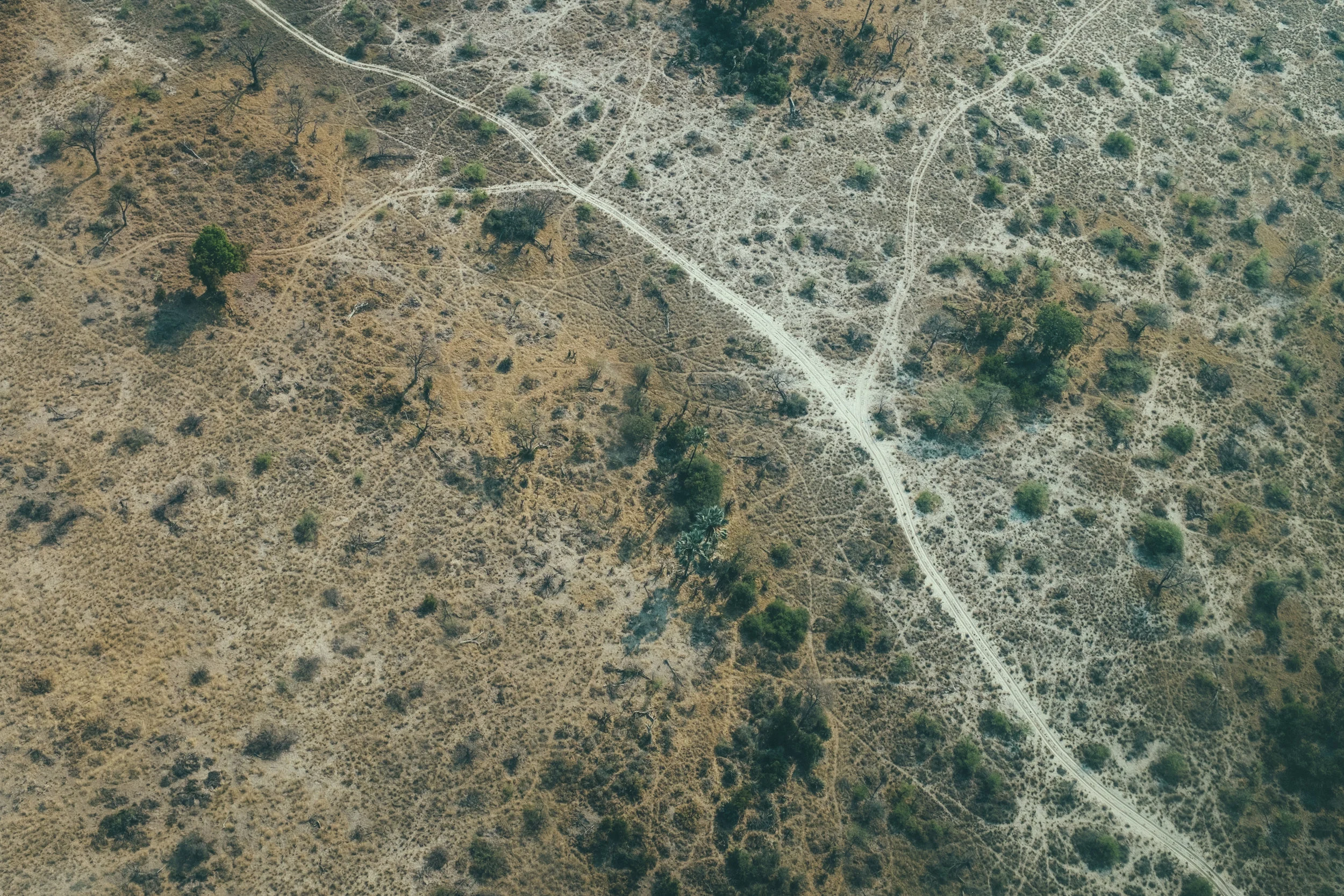 DSCF5113.jpg