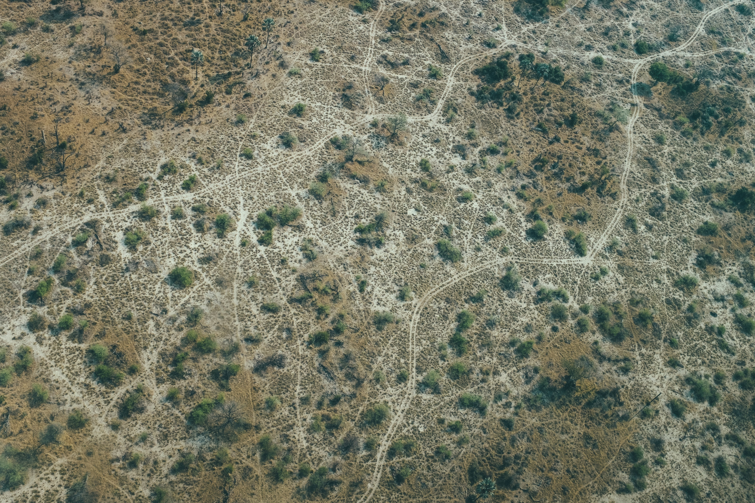DSCF5115.jpg