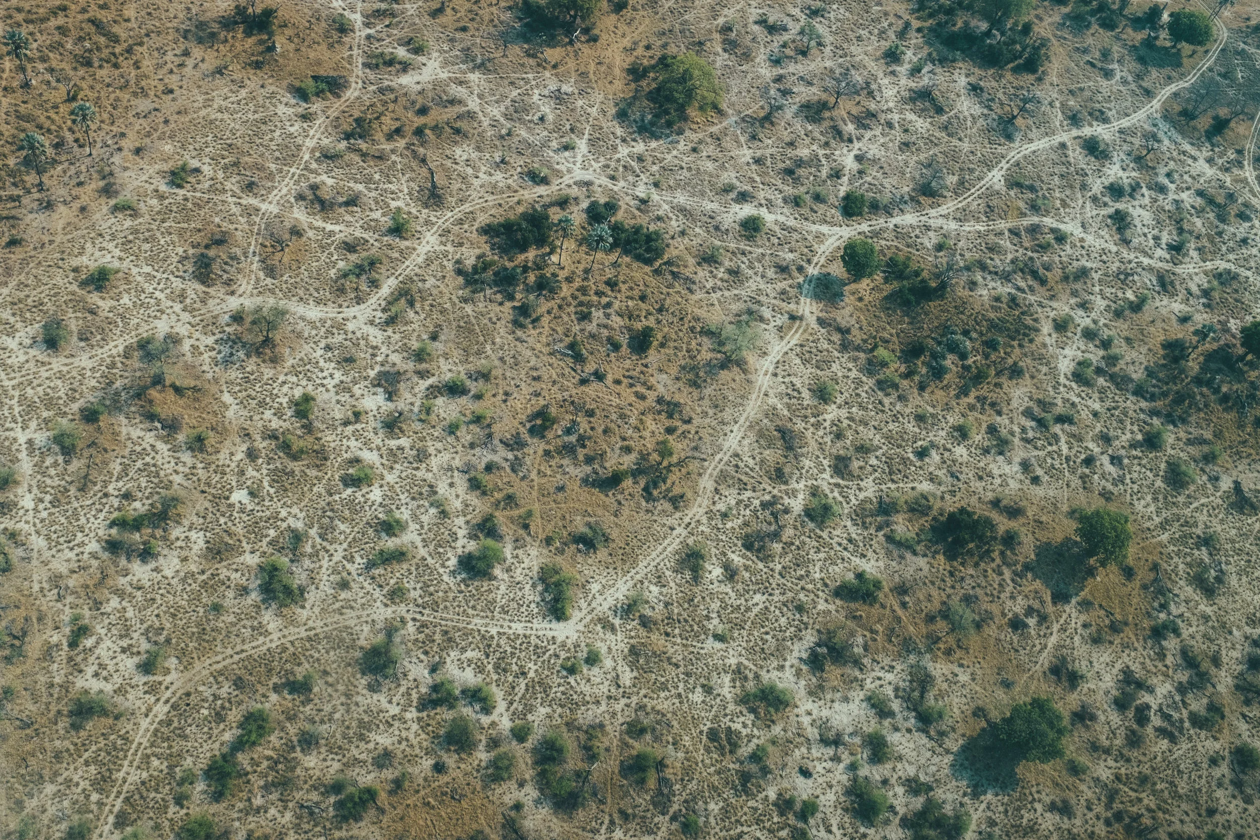 DSCF5116.jpg
