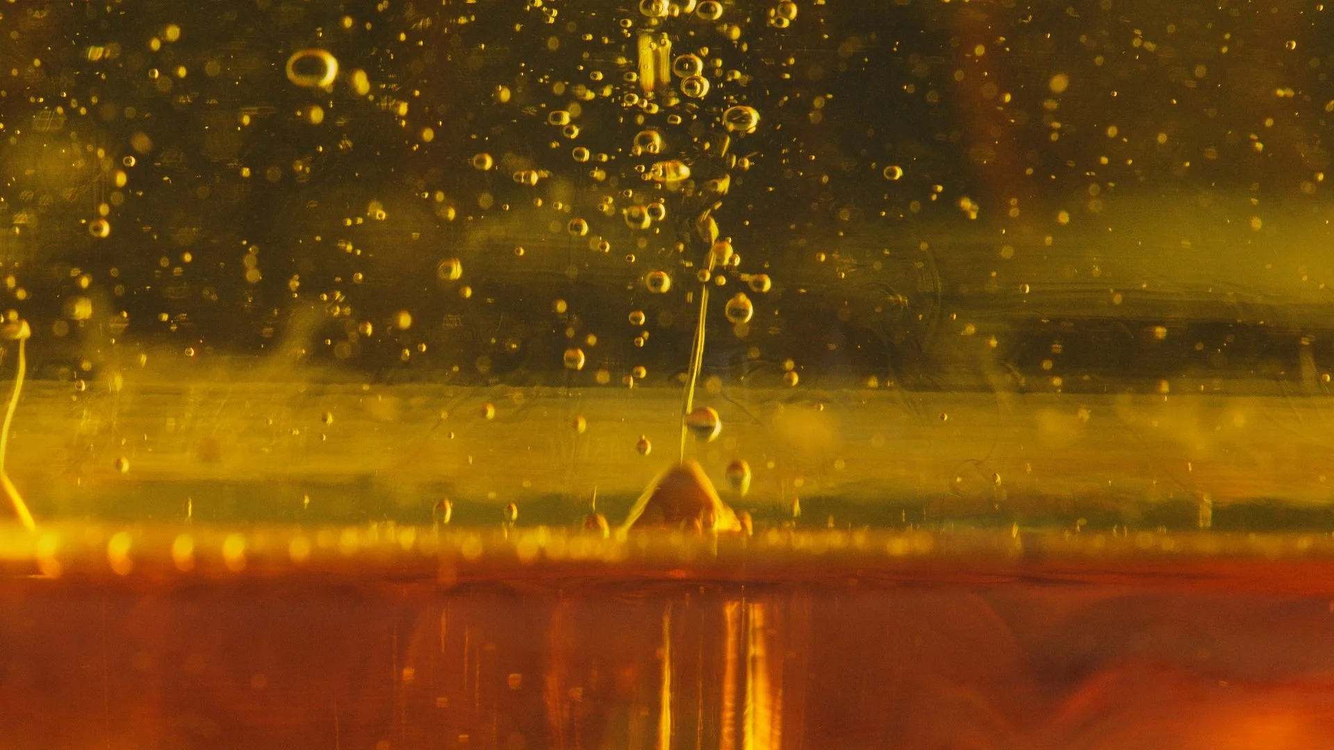 Untitled_5.1.23.jpg