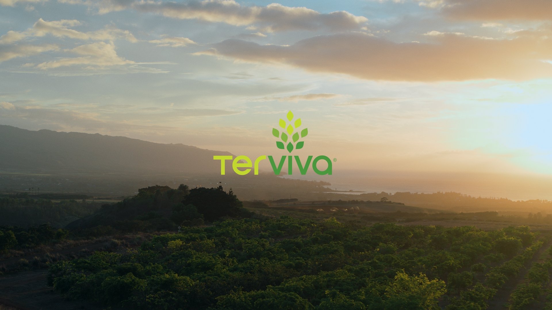 Terviva "Millions of Trees"