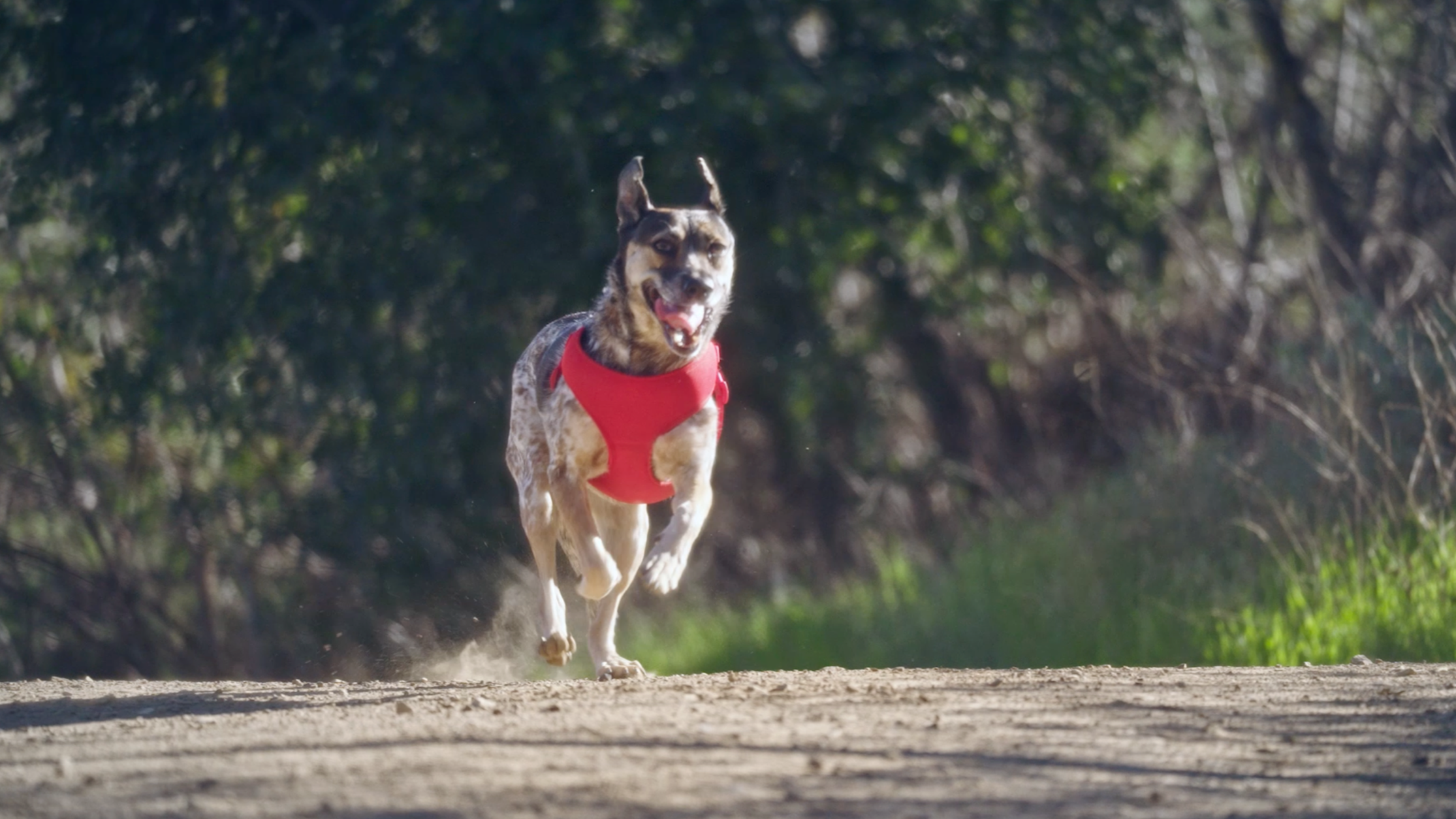 Screenshot 2026-02-13 at 7.05.16 PM.png