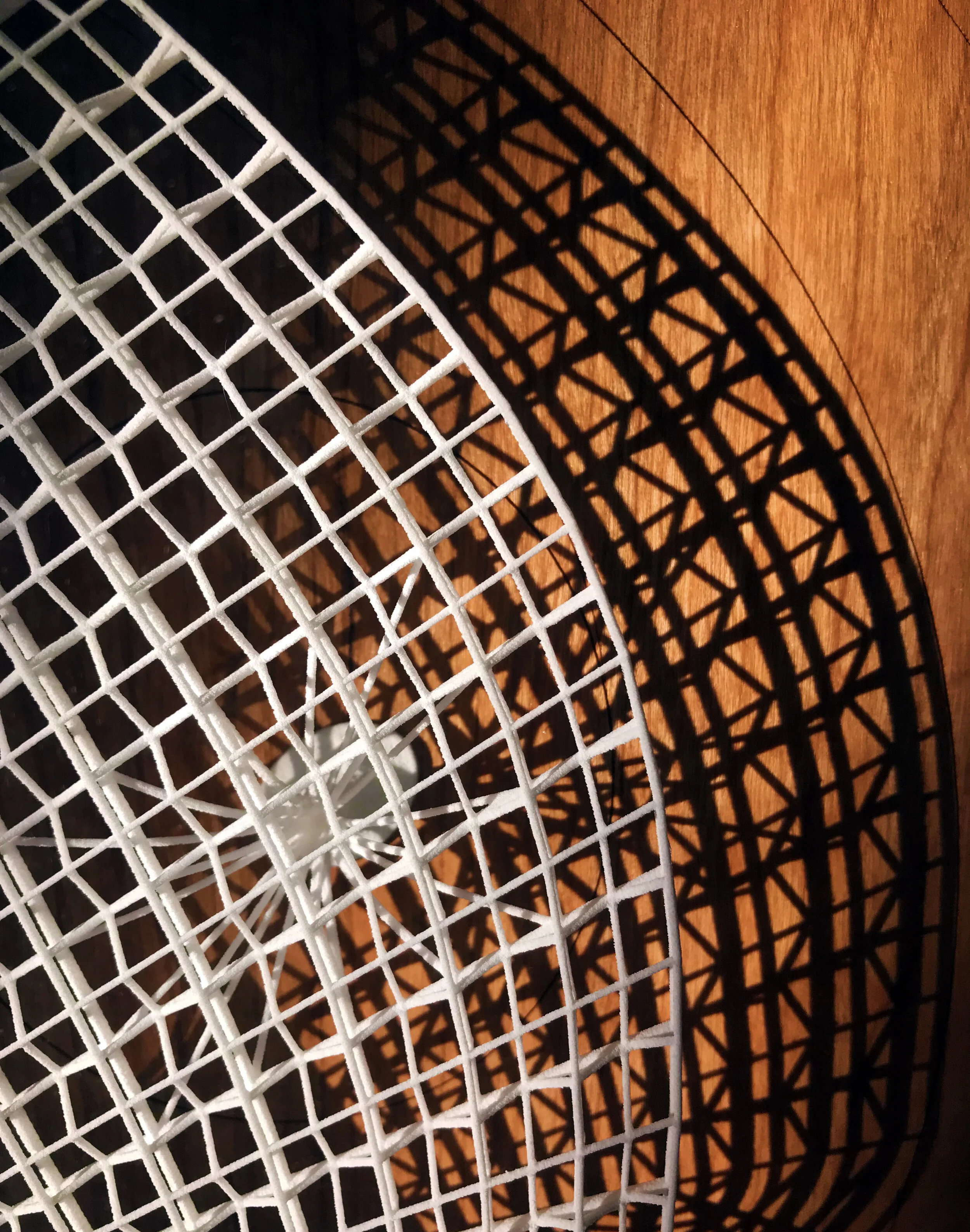 PHYSICAL MODEL STEREOLITHOGRAPHY 3D PRINT AND CURVED WOOD