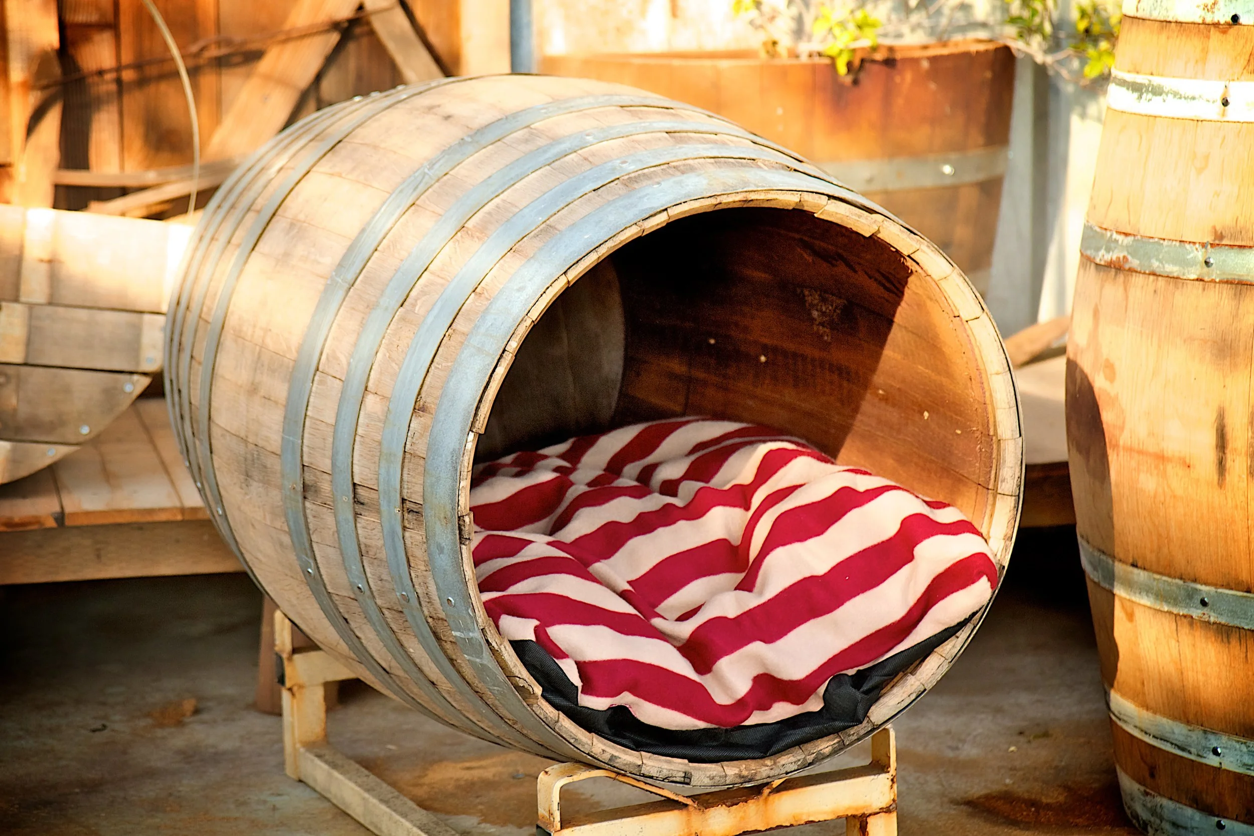 Goldie Nugget — King Barrel