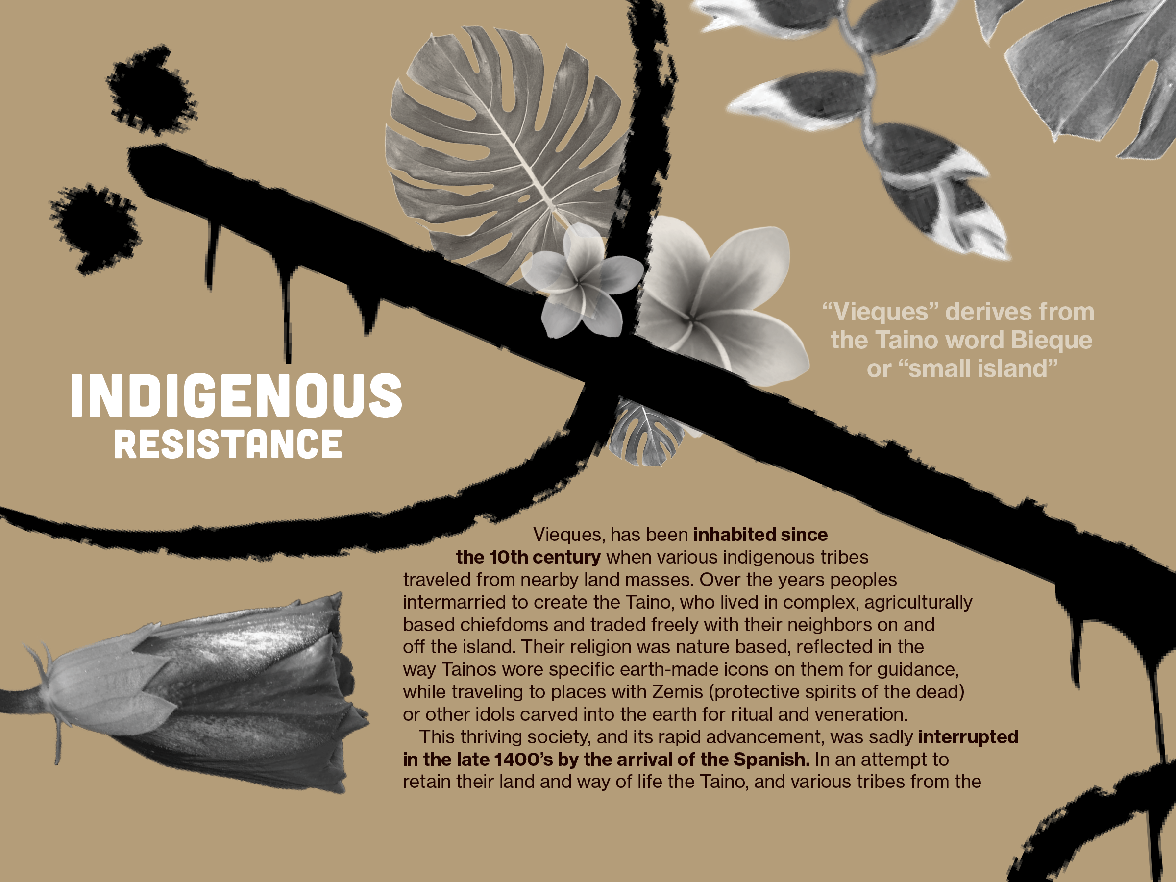 Vieques_Booklet4.png