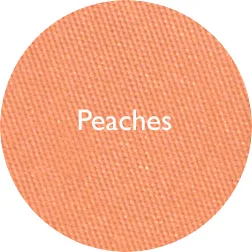 Create Cosmetics Blush - Peaches copy.jpg