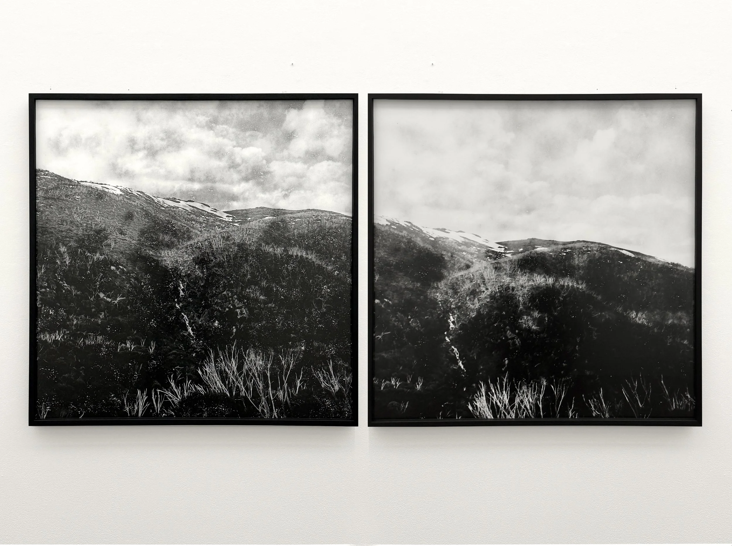 Periapsis (diptych), 2025