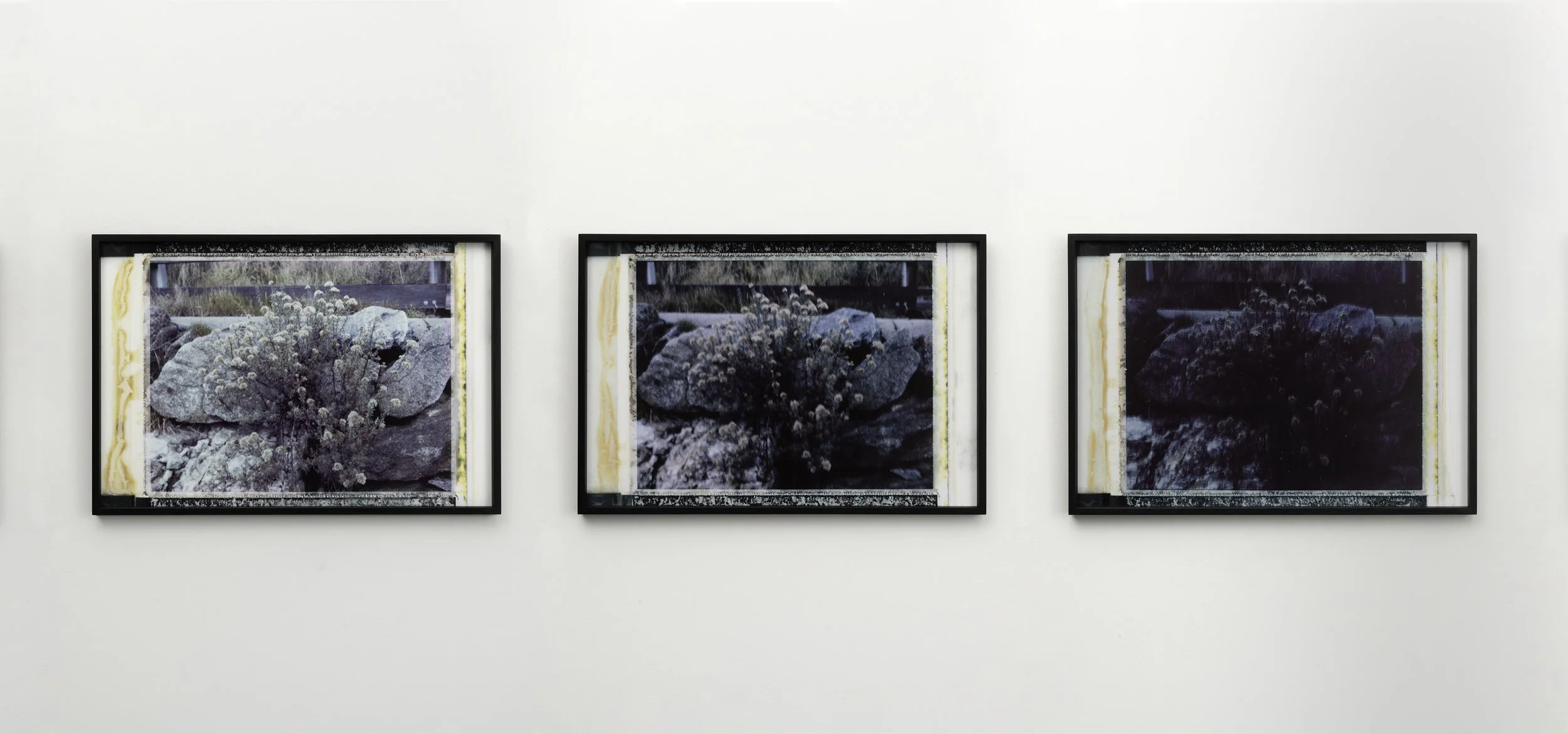 Aphelion (triptych), 2025