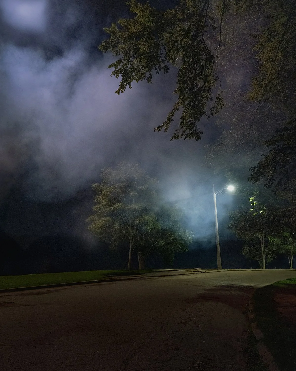 20250704 DSCF3643 1200 x 1500 crop.jpg