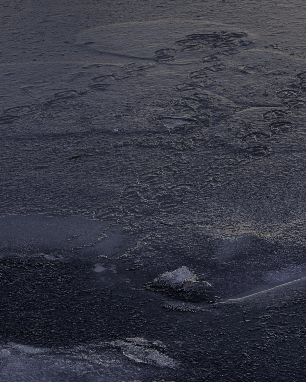 20260213 DSCF3503 1200 x 1500.jpg