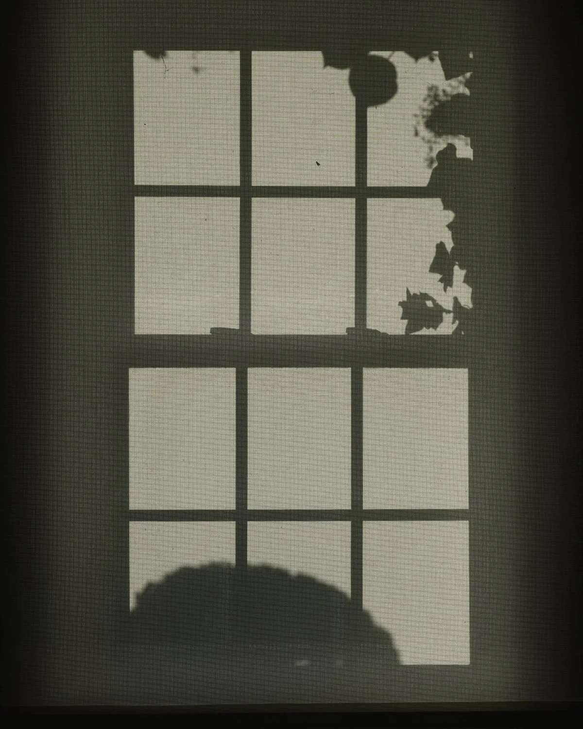 20250928 DSCF6403 1200 x 1500 crop.jpg