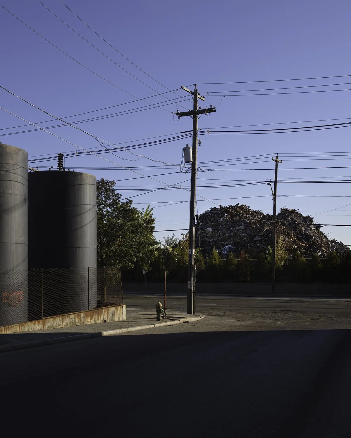 20251018 DSCF0469 1200 x 1500 crop.jpg