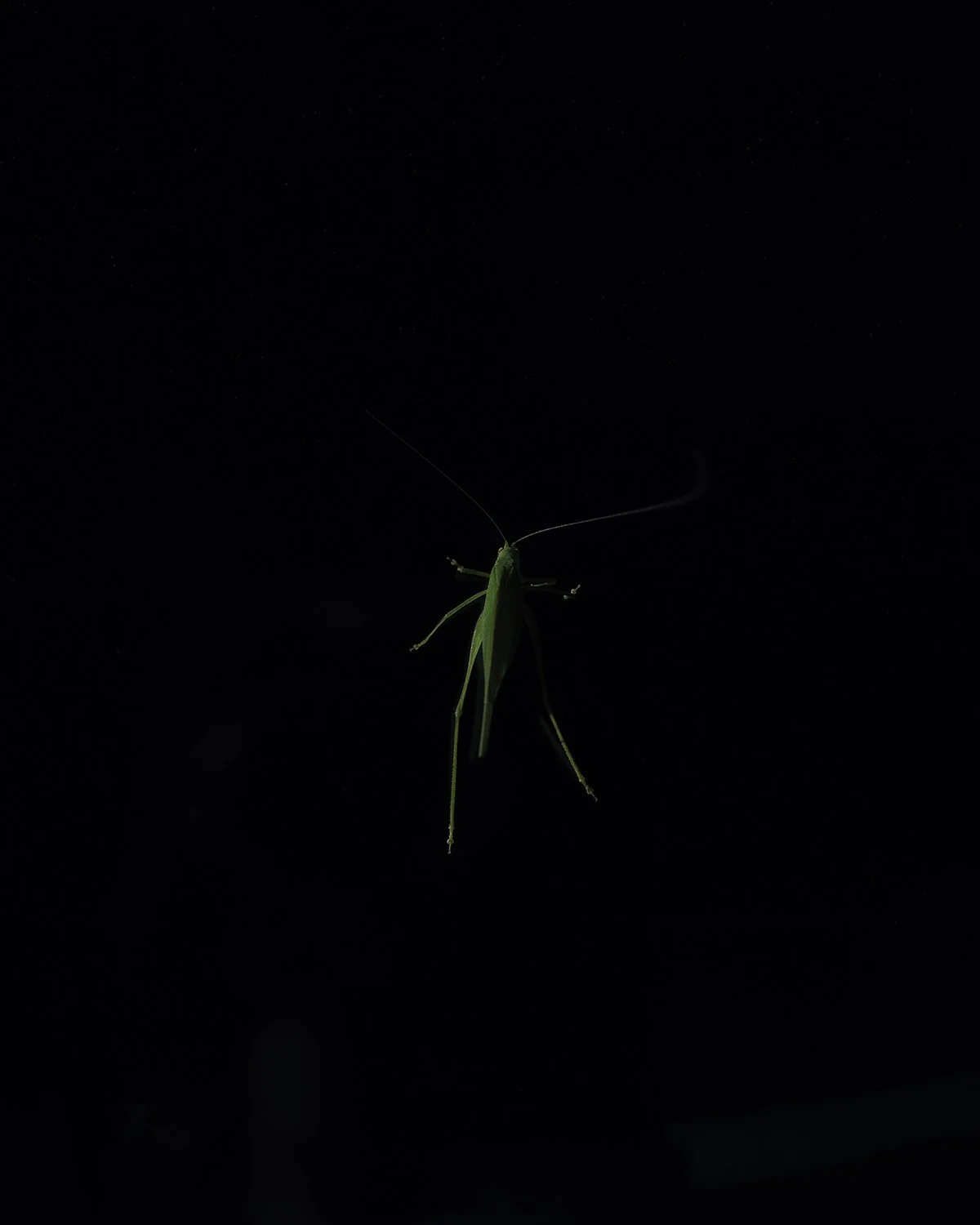 20250930 DSCF6629 1200 x 1500 crop.jpg