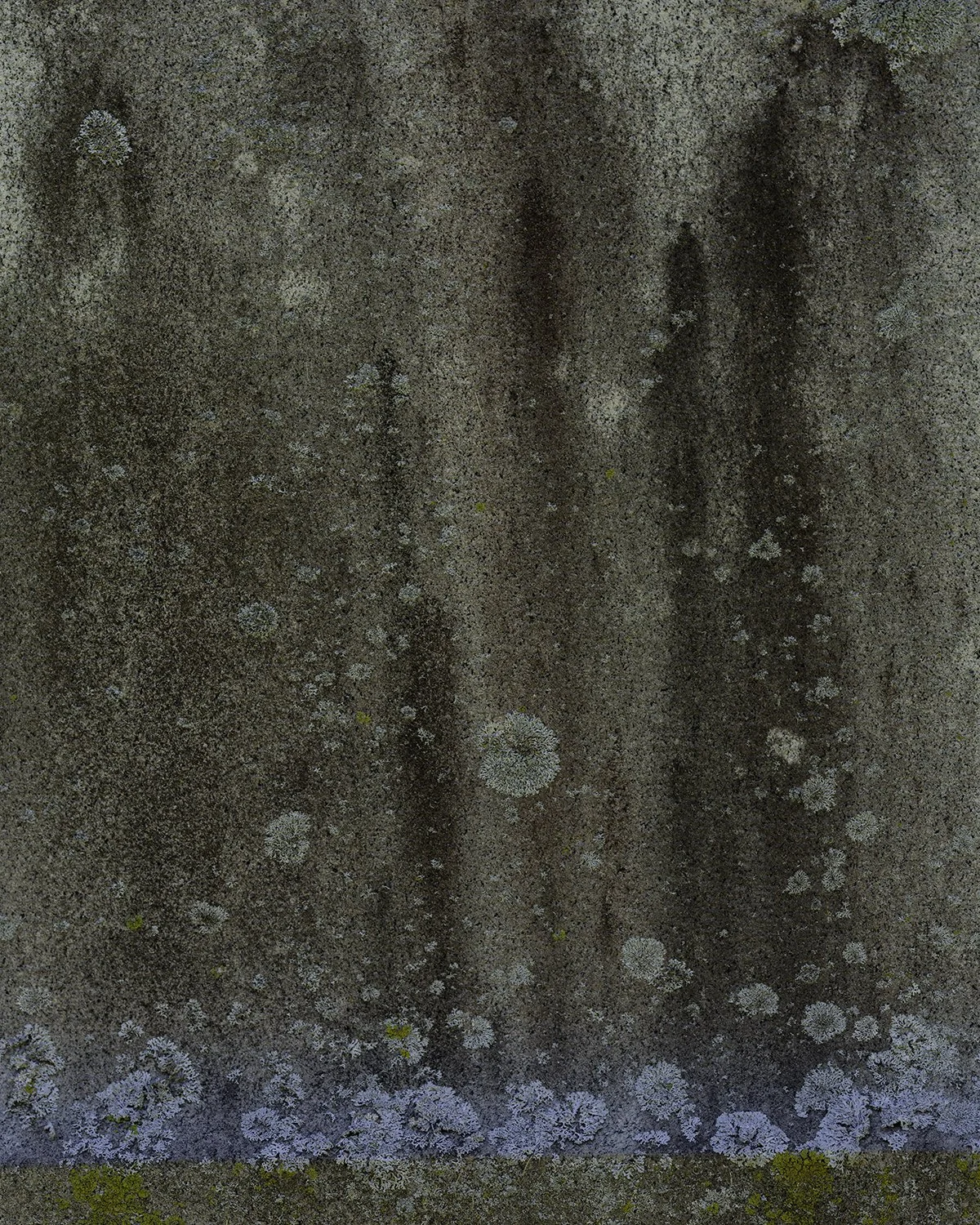 20251001 DSCF6815 1200 x 1500 crop.jpg