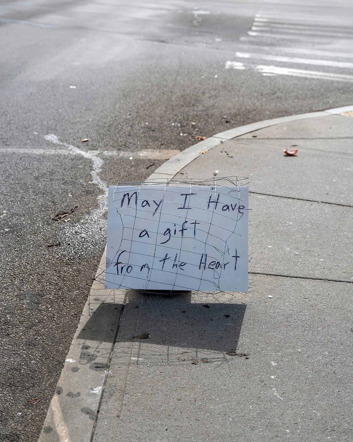 20250718 DSCF3947 1200 x 1500 crop.jpg