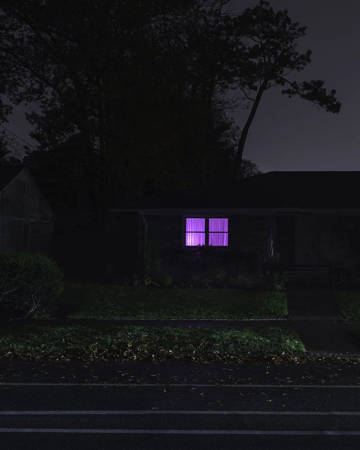 20251030 DSCF0786 1200 x 1500.jpg