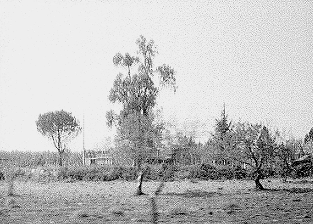 HeroicOfferingCrop9.jpg