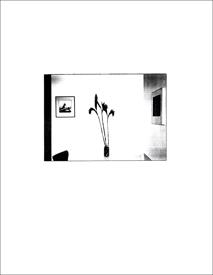 00429.jpg