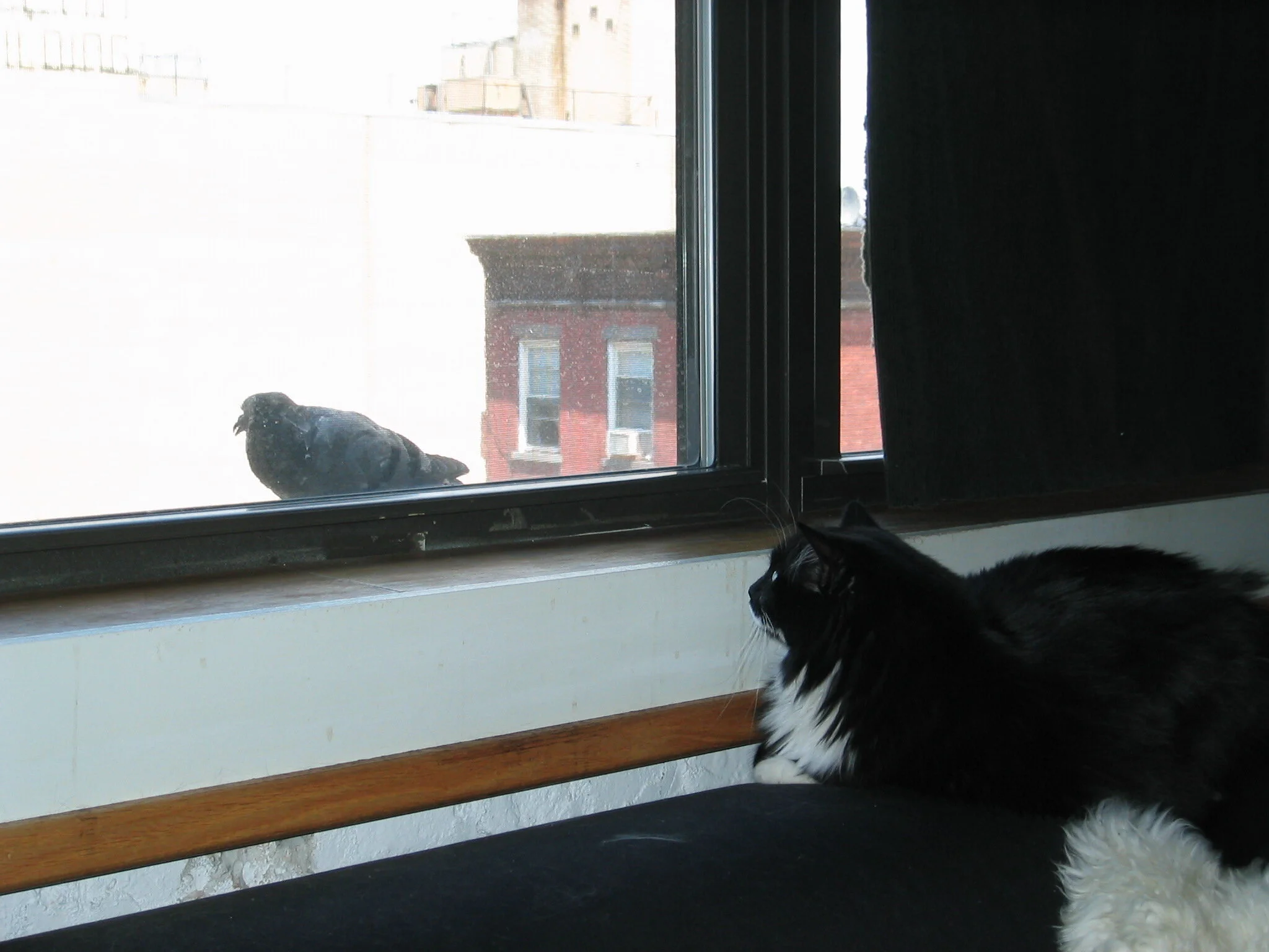 20030719 IMG_0991.jpeg