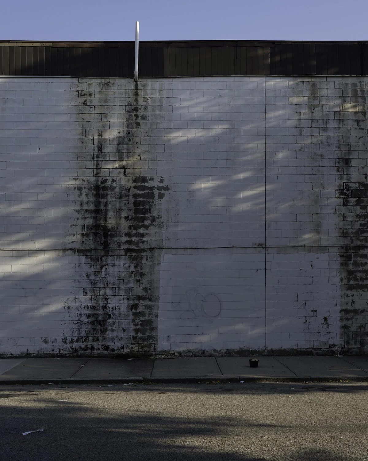 20250802 DSCF4957 1200 x 1500 crop.jpg