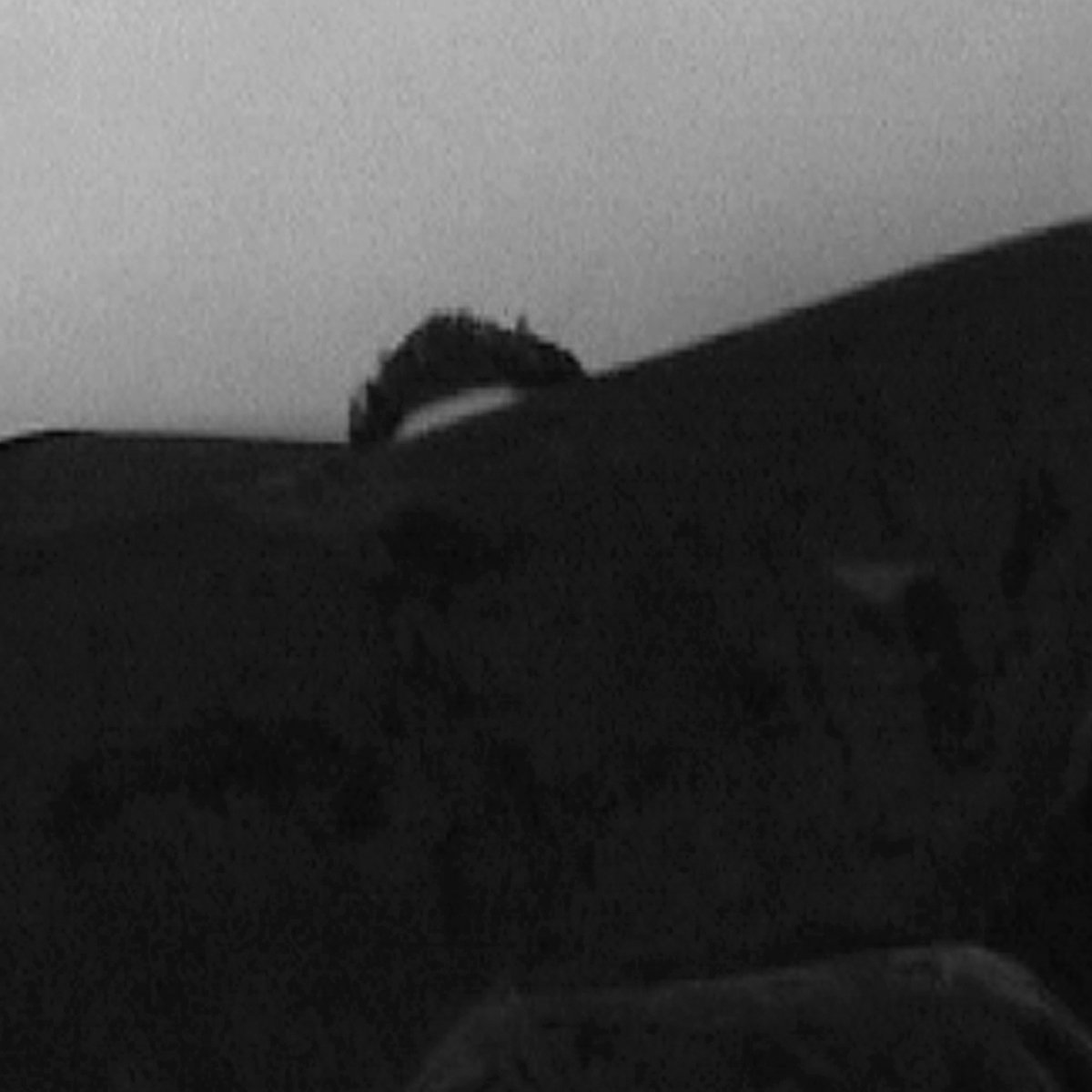 self sleep 06 copy.jpg