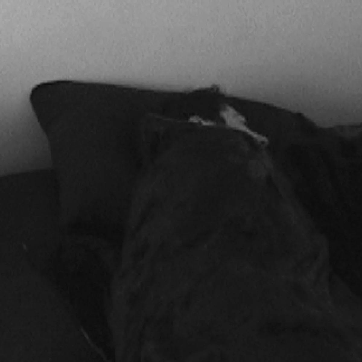 self sleep 11 copy.jpg