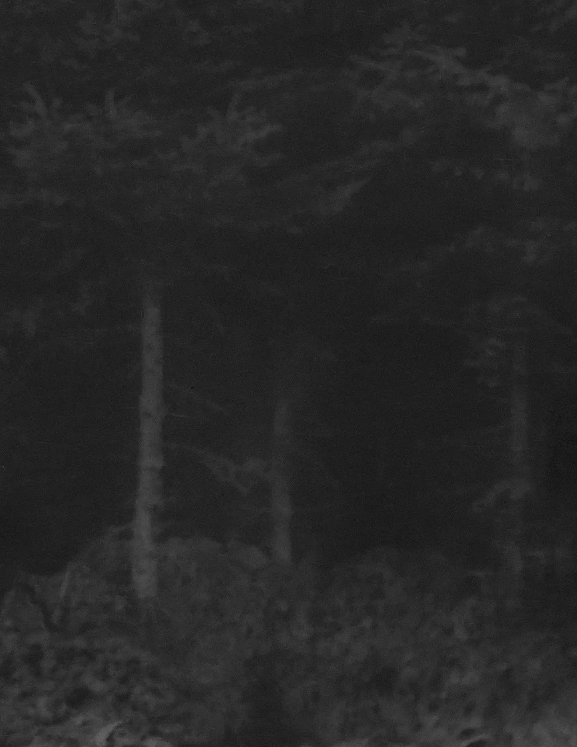 2018.638.1_001_001_0044 crop dark gray.jpg