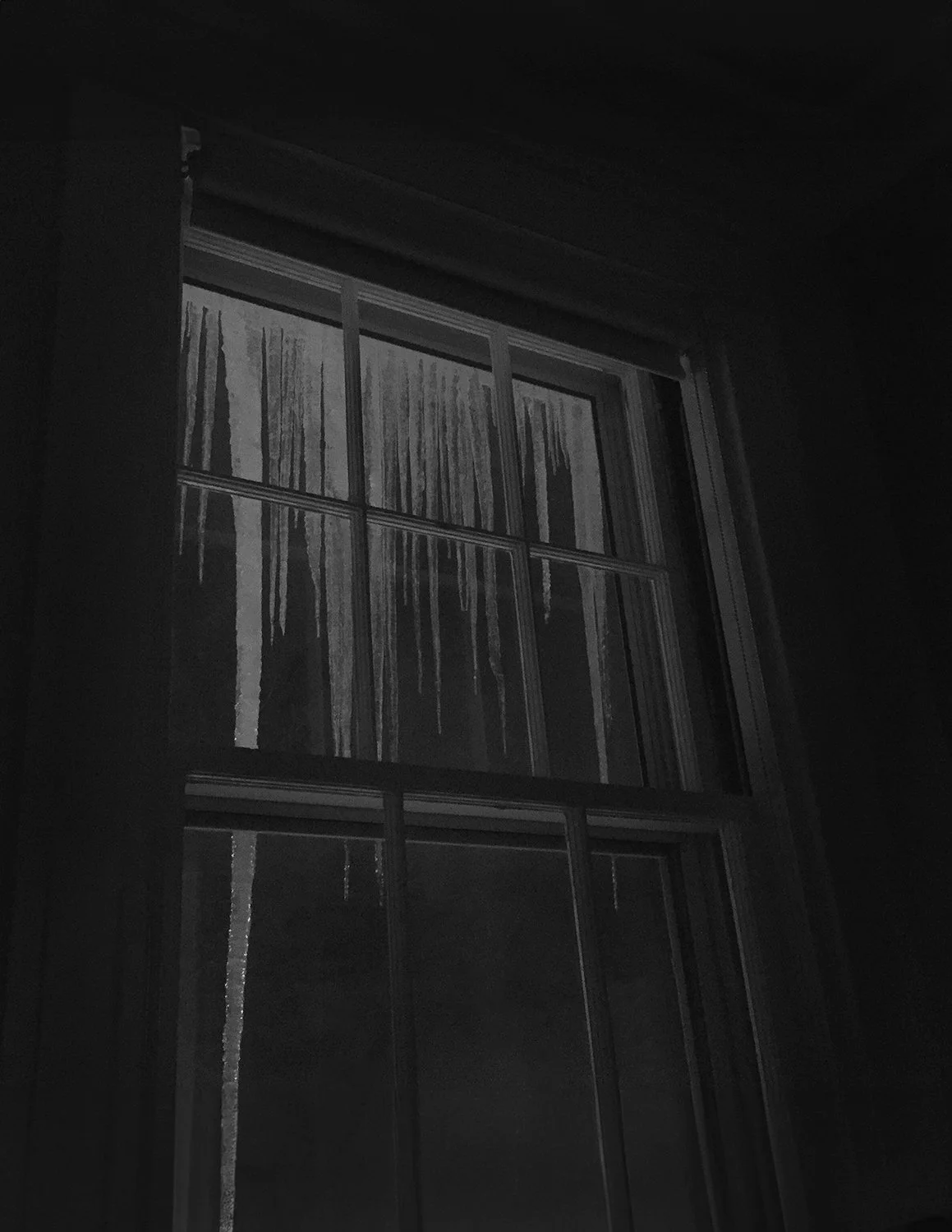 20150210 IMG_6324 crop dark gray.jpg