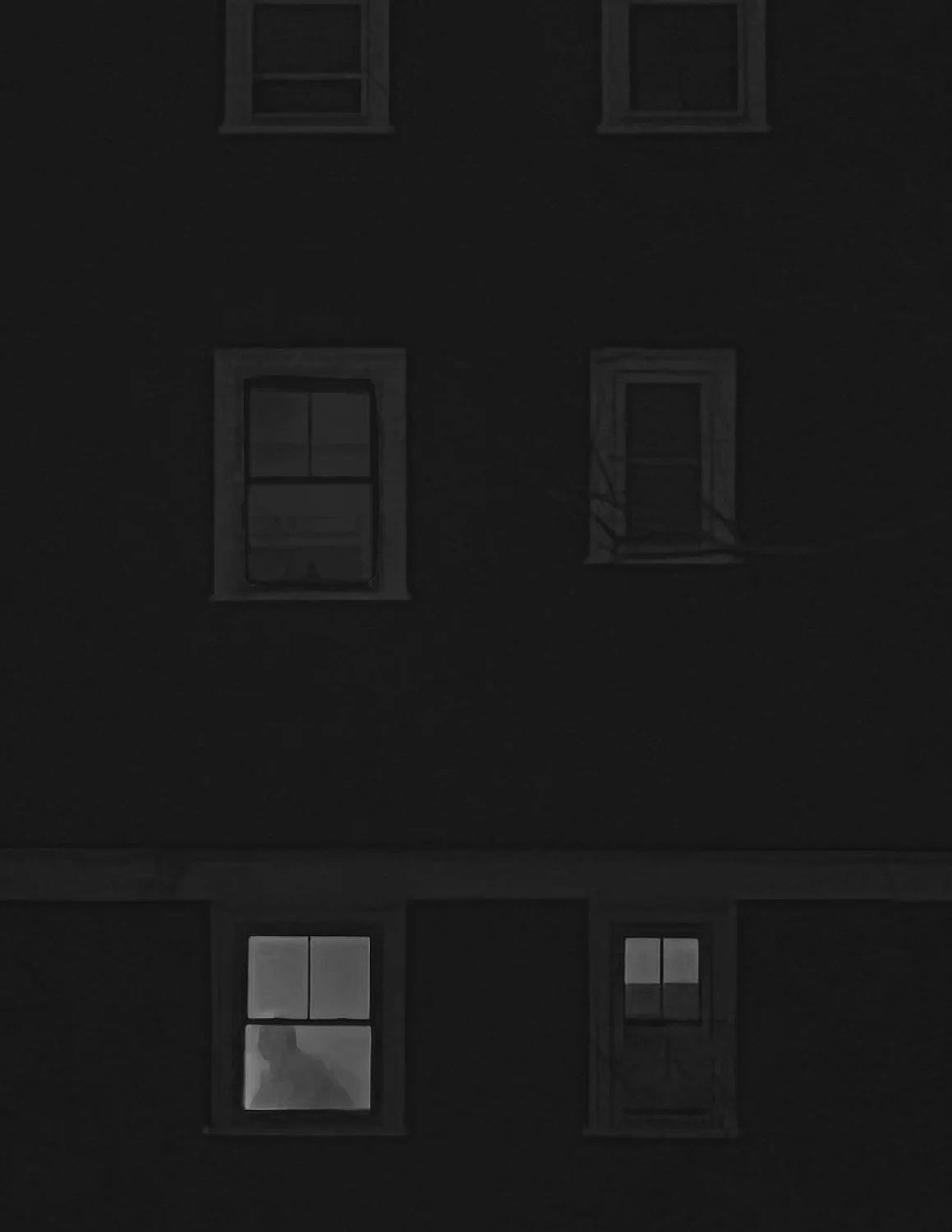 20220105 IMG_1012 colorized crop dark gray.jpg