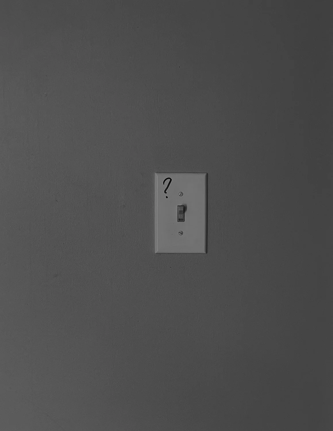 IMG_5465 crop dark gray.jpg