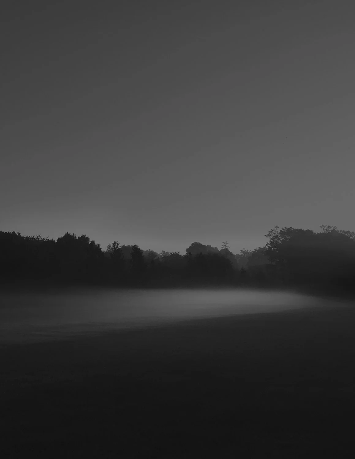 IMG_5605 crop dark gray.jpg