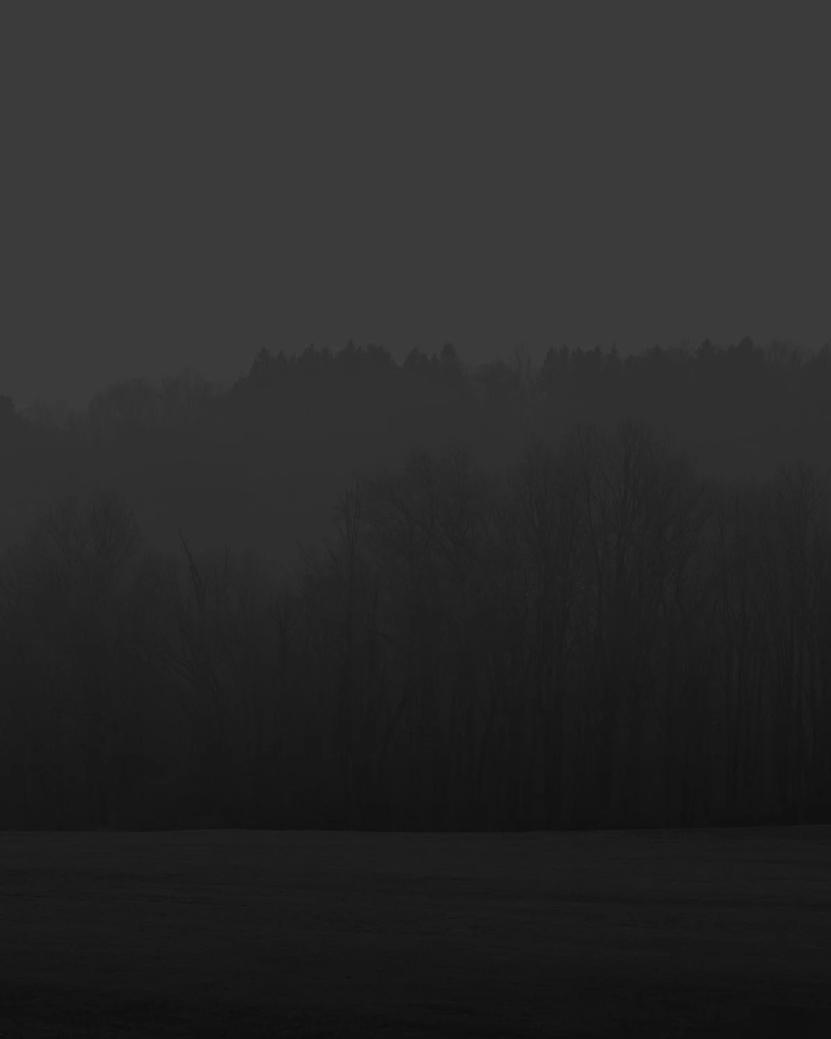 20251120 DSCF2322 dark 1200 x 1500.jpg