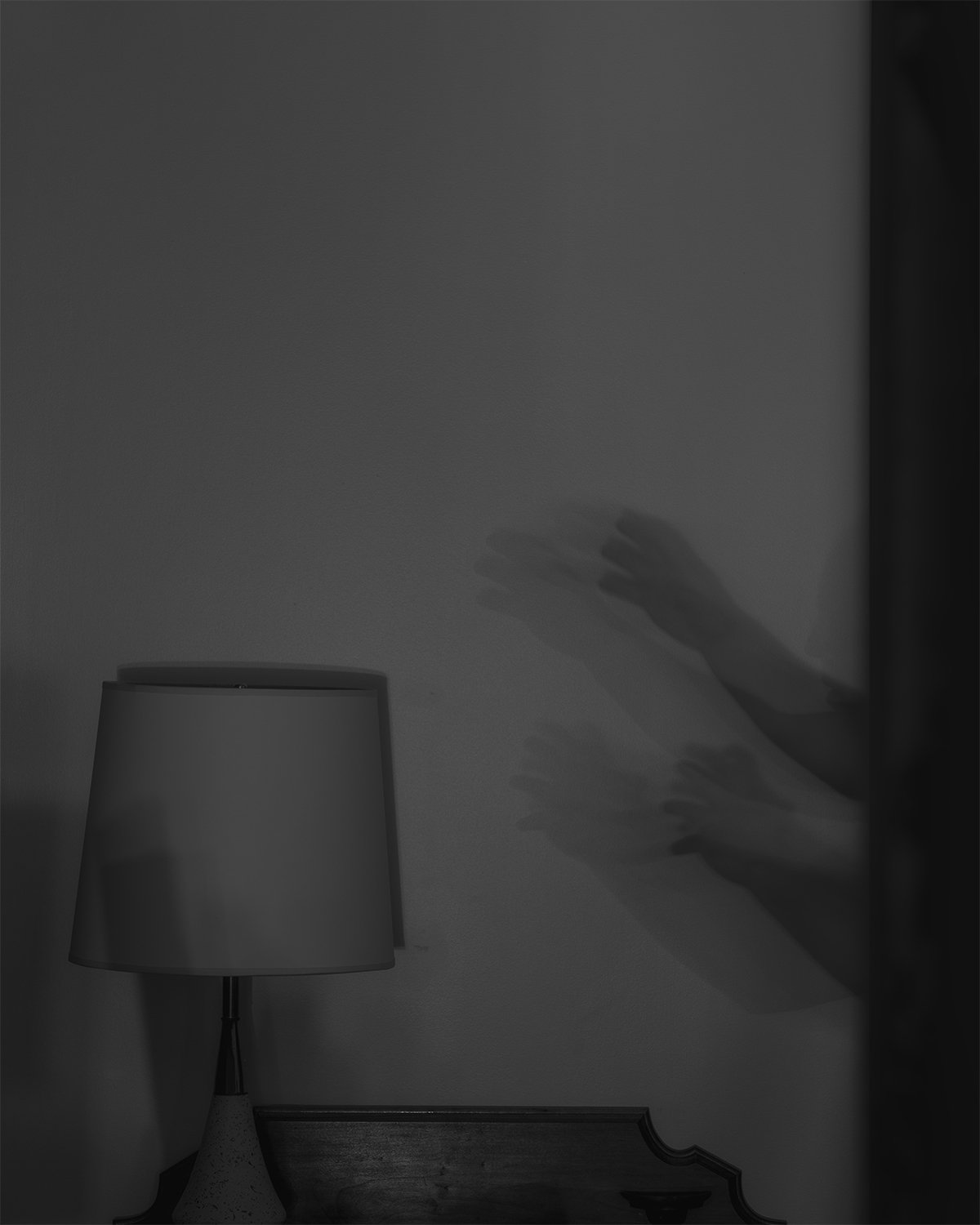 20251121 DSCF2395 1200 x 1500.jpg