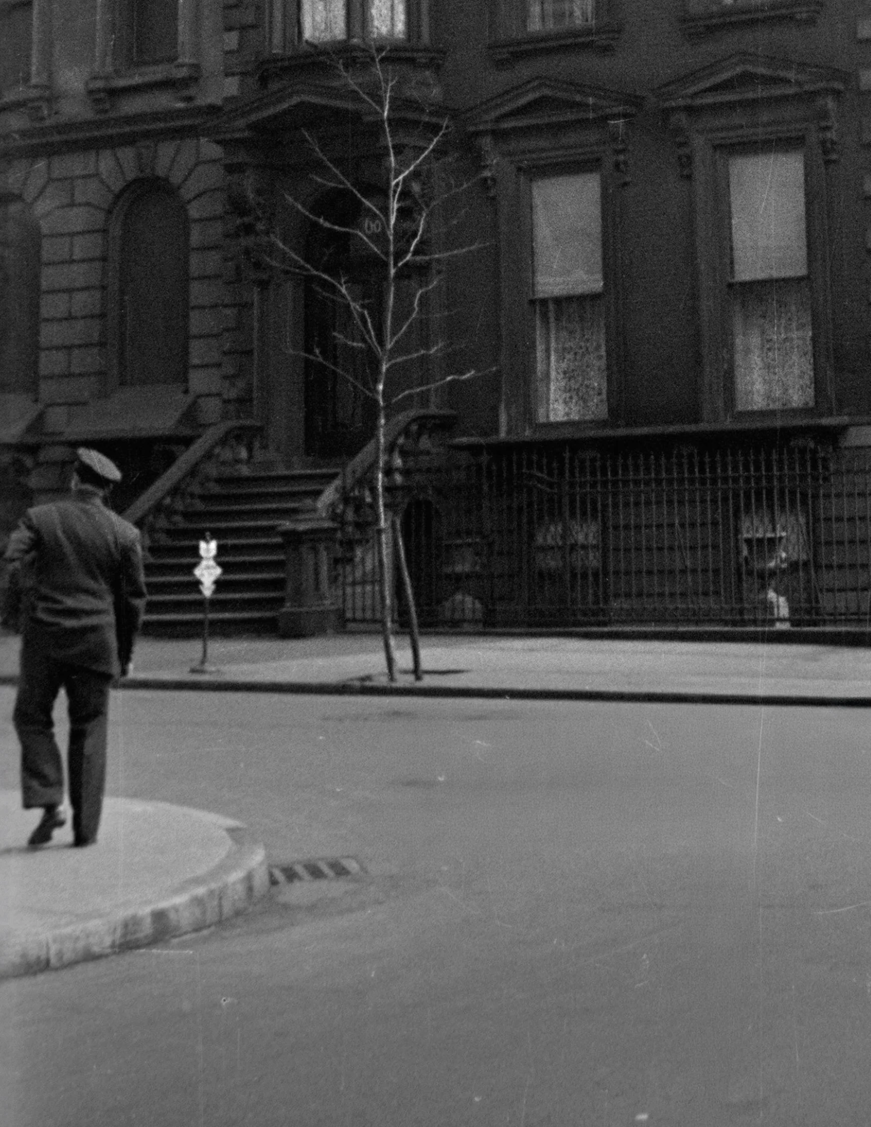 60 Grace Court Alley Brooklyn 02 edit crop.jpg