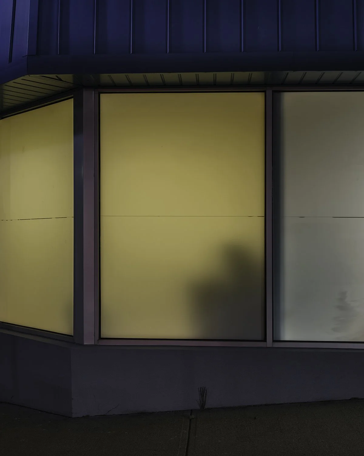 20251230 DSCF2908 1200 x 1500.jpg