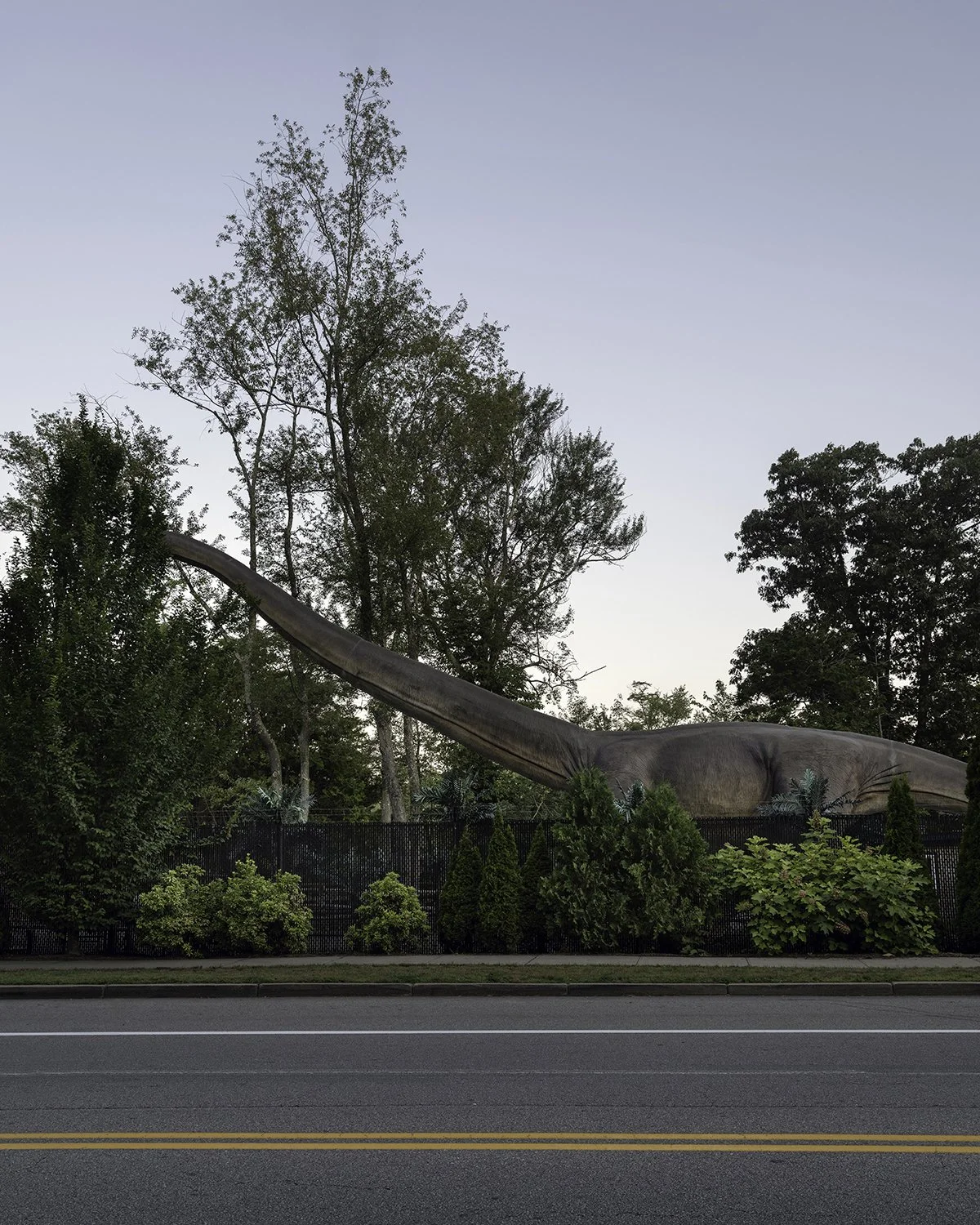 20250802 DSCF4803 1200 x 1500 crop.jpg