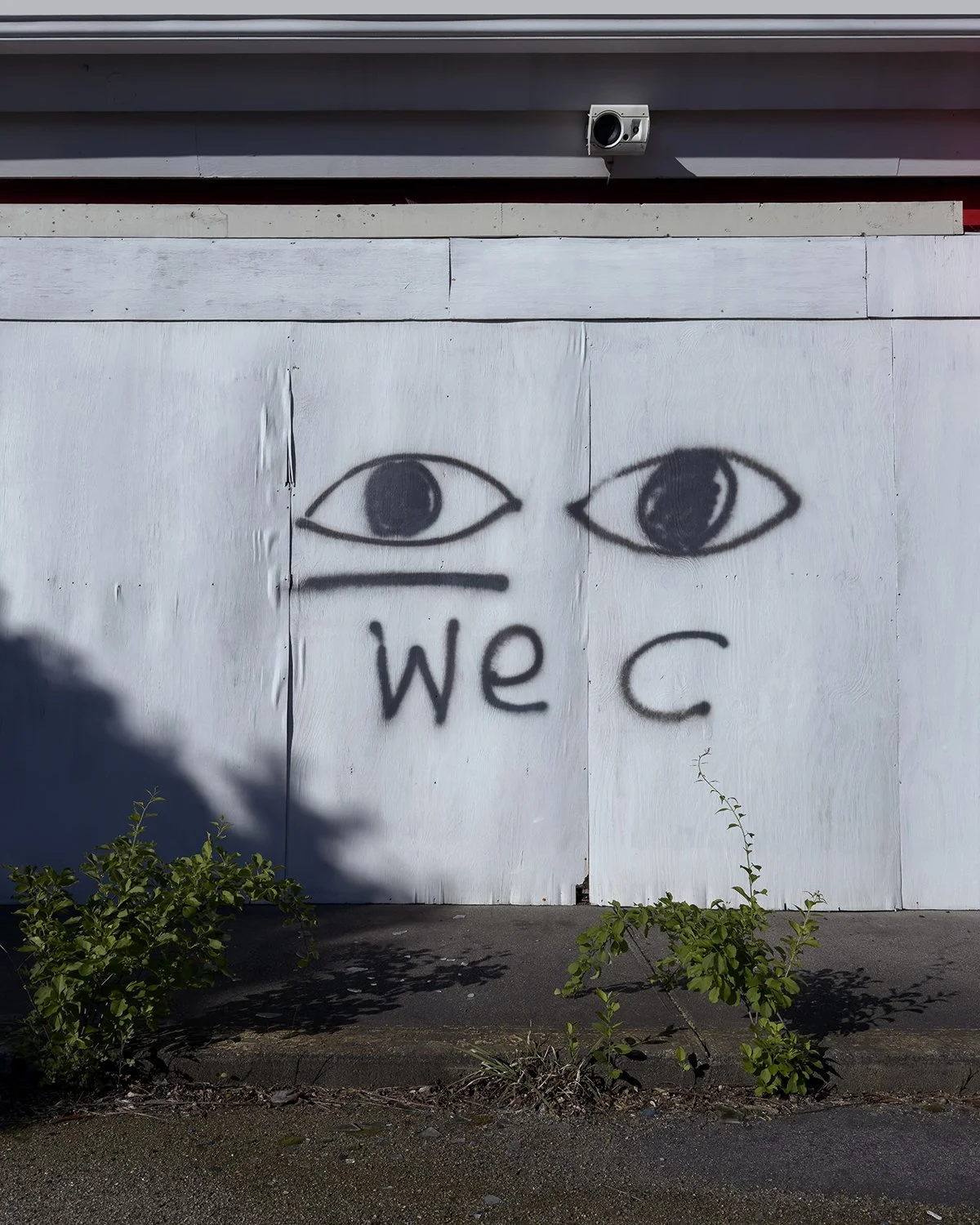 20250525 IMG_1918 1200 x 1500 crop.jpg