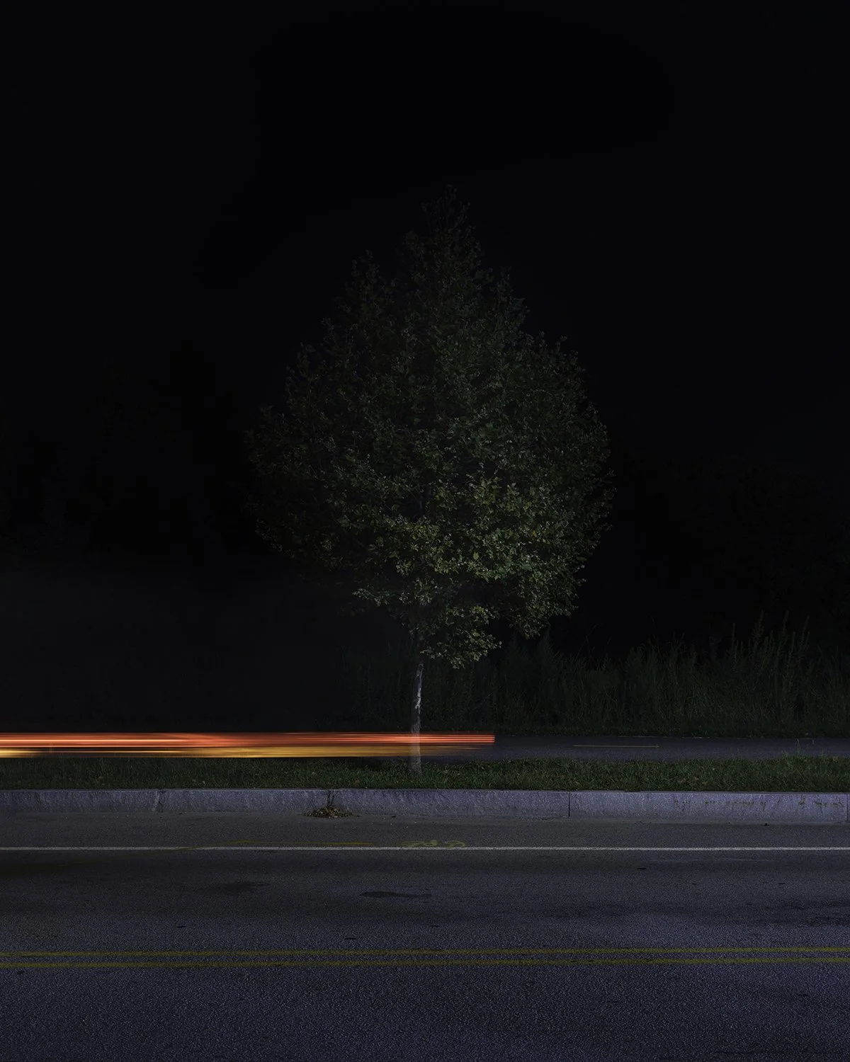 20250916 DSCF6003 1200 x 1500 crop.jpg