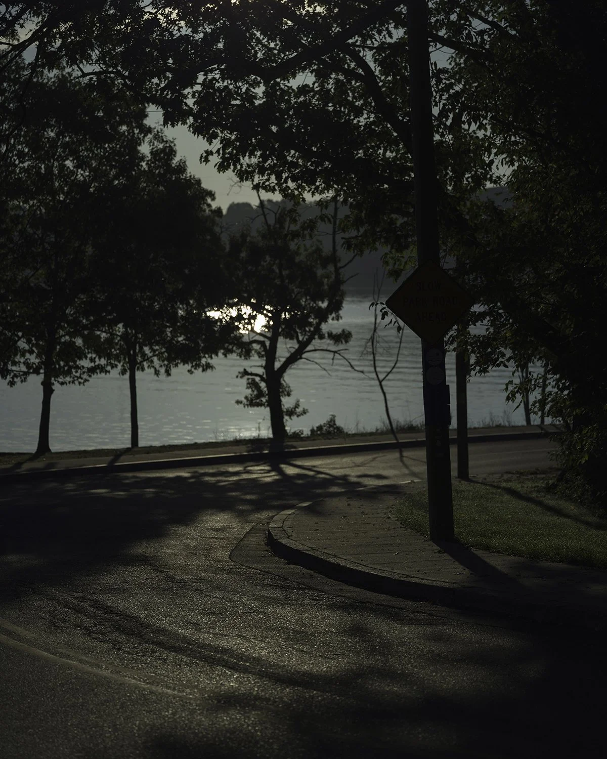 20250927 DSCF6240 1200 x 1500 crop.jpg