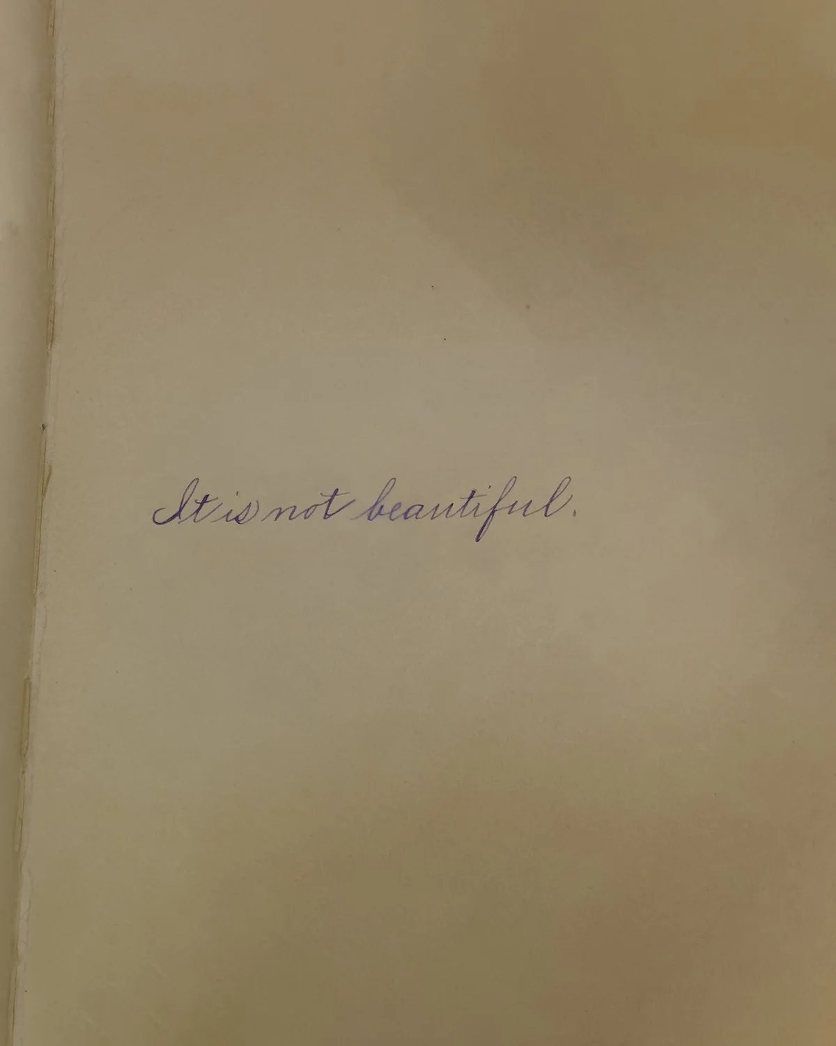 20260827 IMG_6890 It is not beautiful 1200 x 1500.jpg