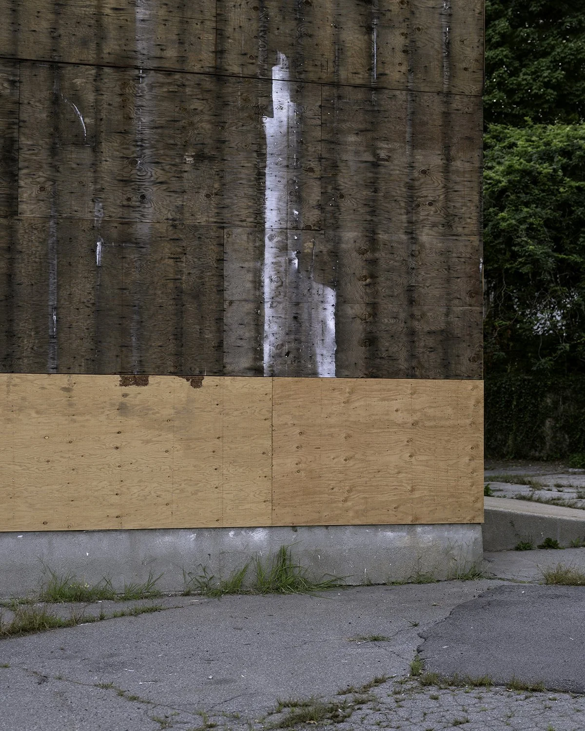 20250806 DSCF5476 1200 x 1500 crop.jpg