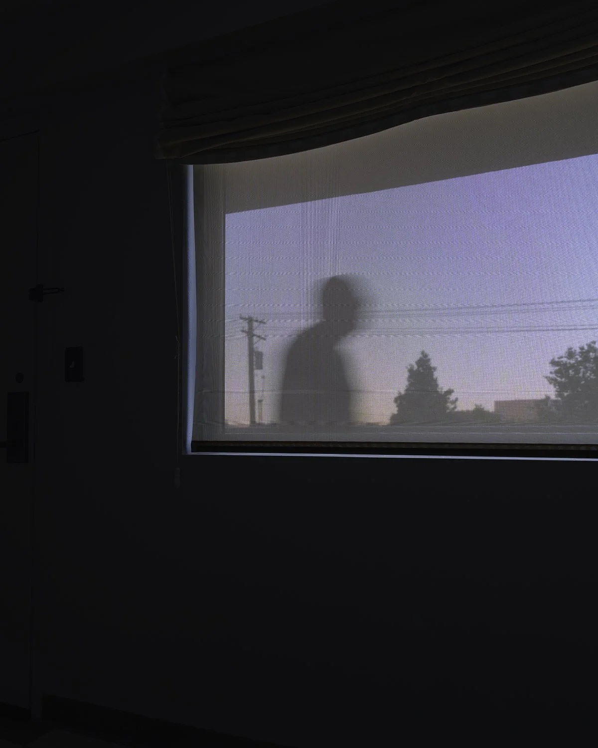 20261017 DSCF9371 1200 x 1500.jpg
