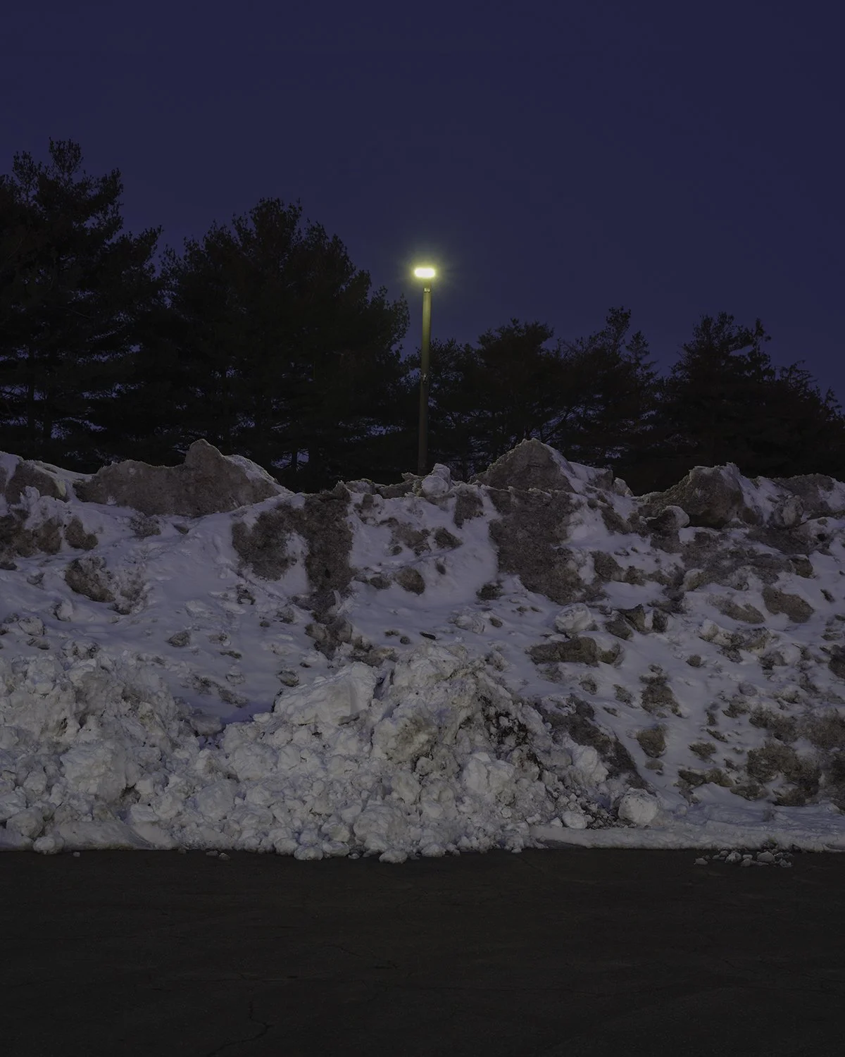 20260213 DSCF3425 1200 x 1500.jpg