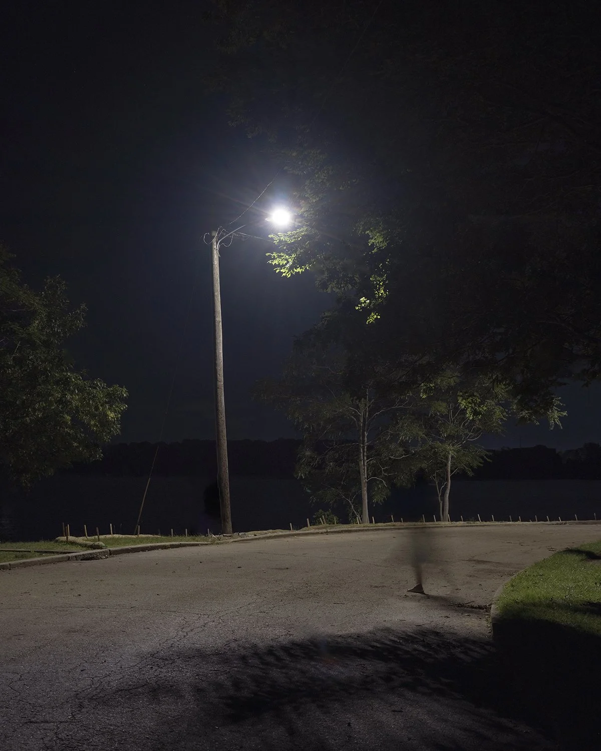 20250704 DSCF3711 1200 x 1500 crop.jpg