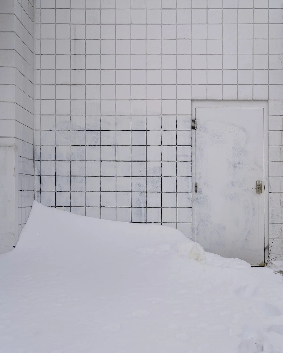 20260128 DSCF3074 1200 x 1500.jpg